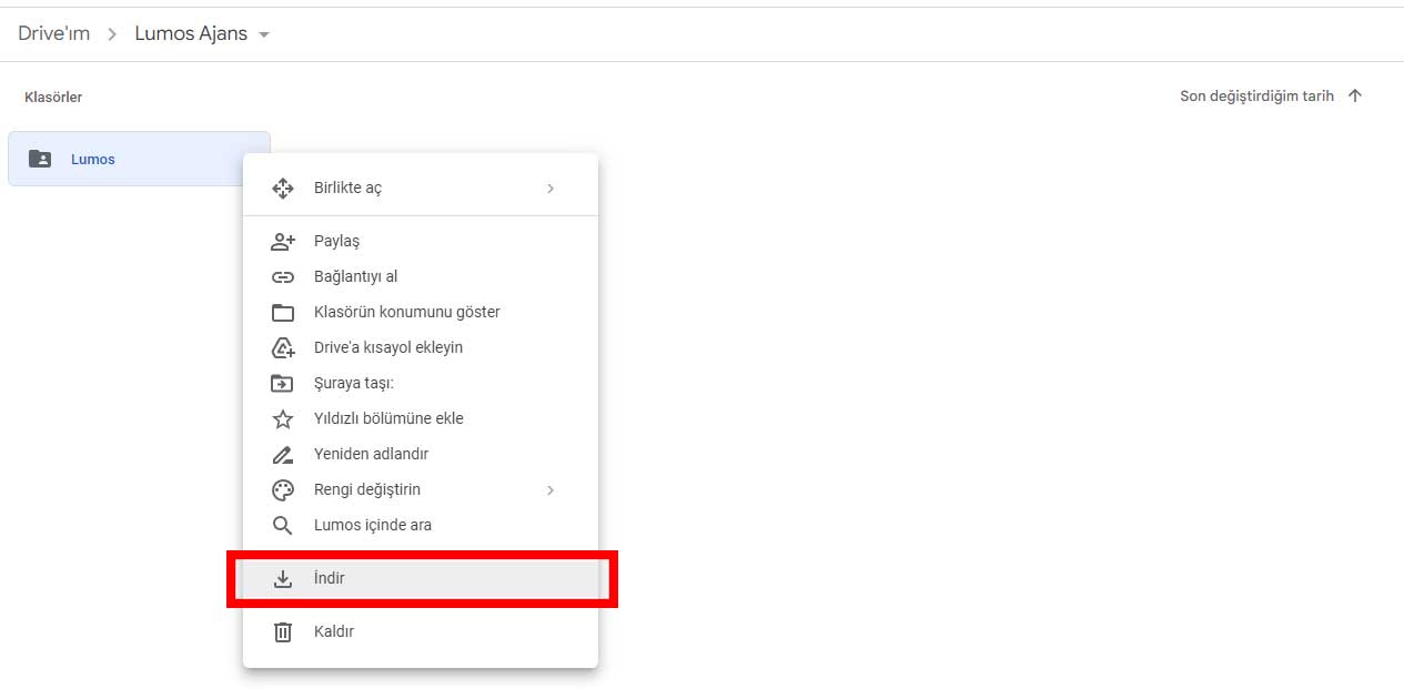 Google Drive Toplu Dosya İndirme